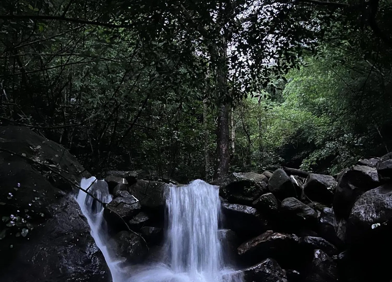 Resort The Olam Vagamon Hotel India