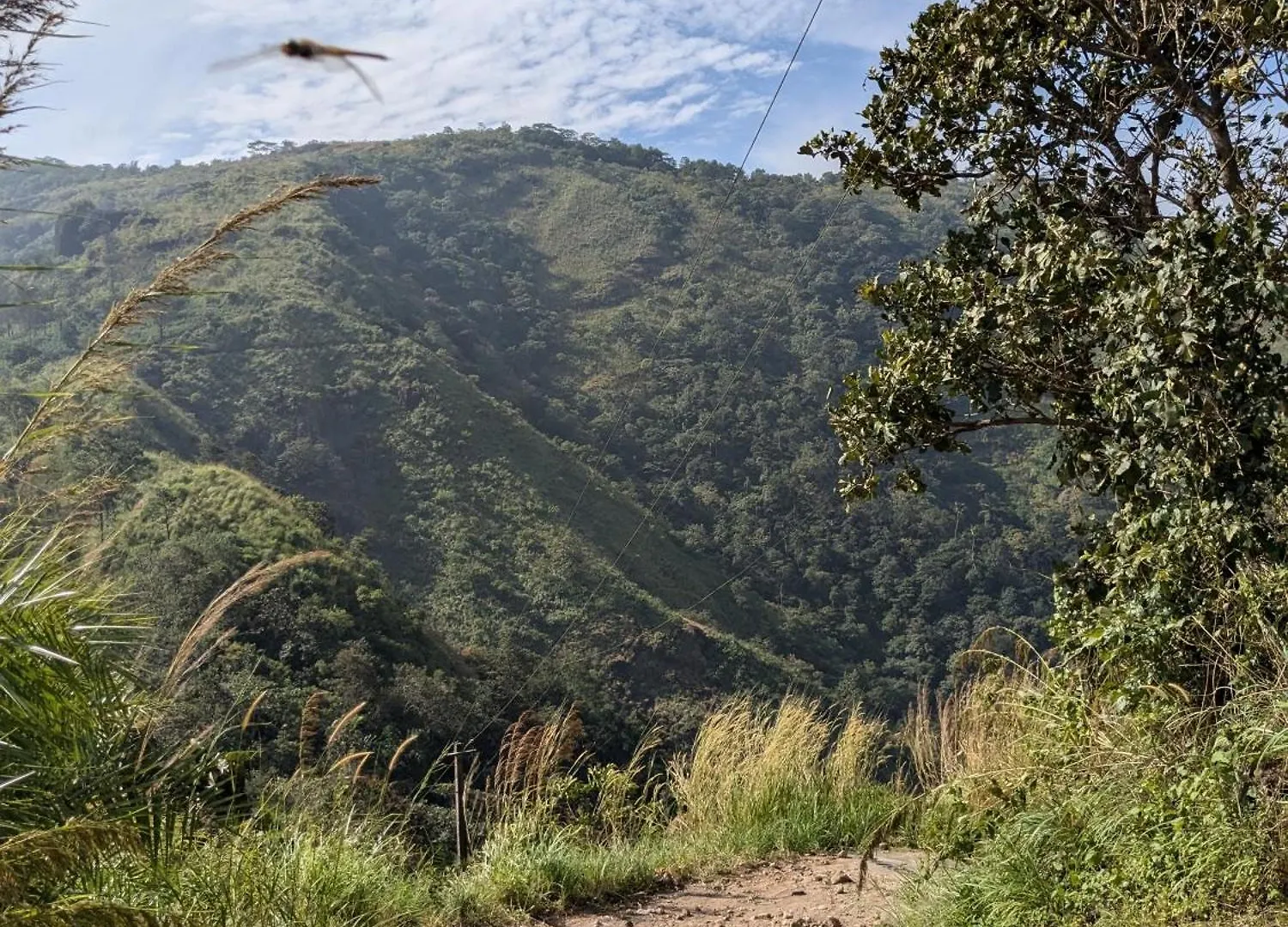 리조트 The Olam Vagamon 호텔