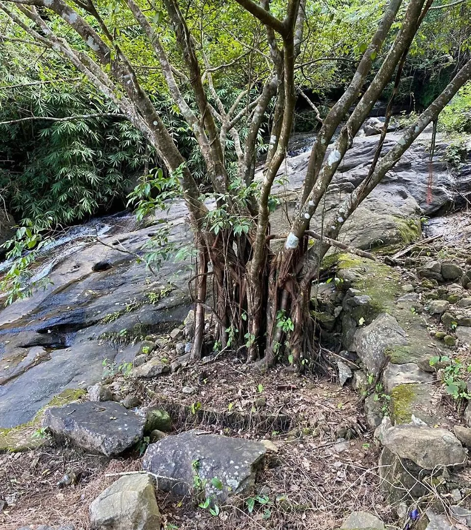 The Olam Vagamon 호텔 리조트